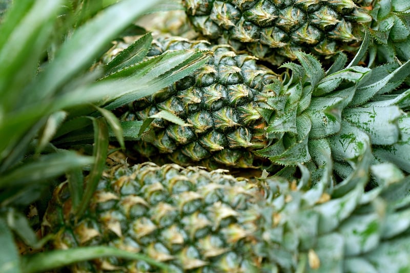 Tropical Fruit Display