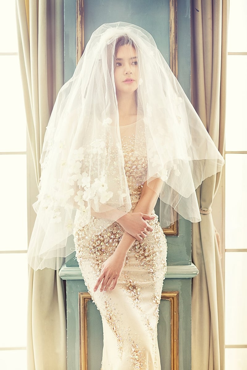 Bride's Wedding Dress